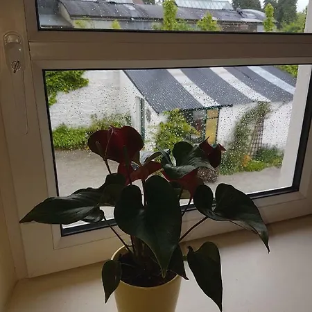 Glenbower House Cork