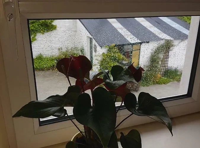 Glenbower House Cork